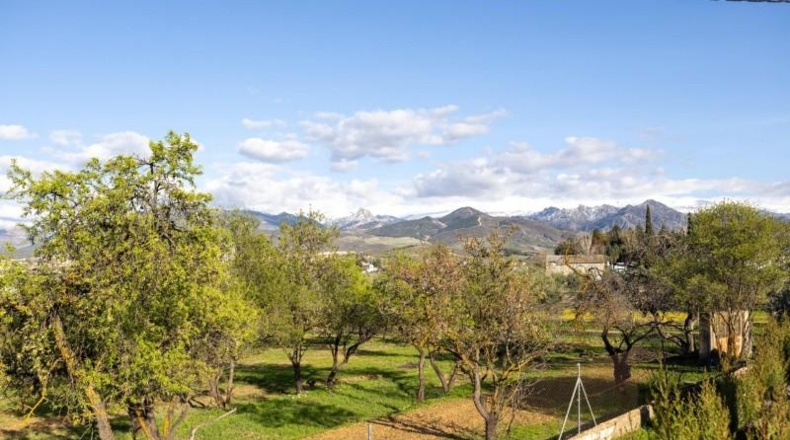 Granada - Cádiar - 2000m2
