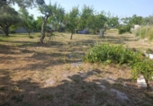 Casa de camp amb terreny en venda a la España, Ontinyent, ref.: TR411276 foto