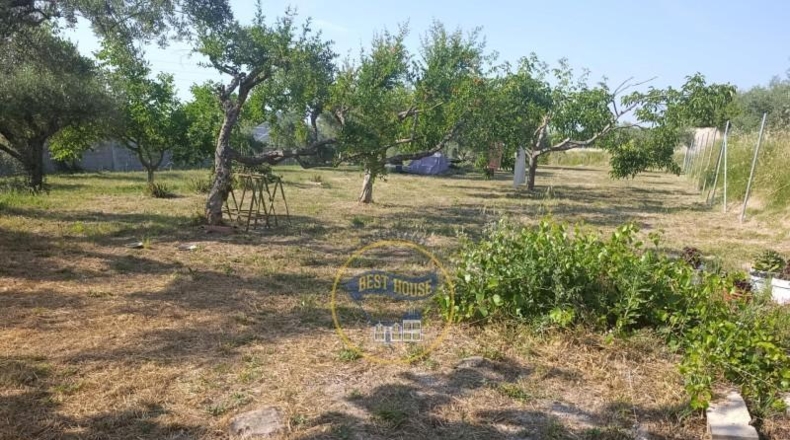 Valencia - Ontinyent - 4547m2