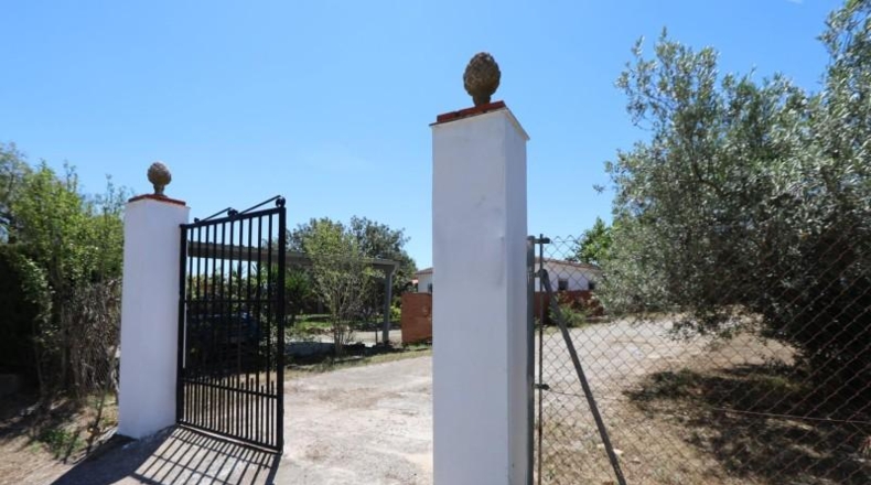 Valencia - Villamarchante - 1204m2