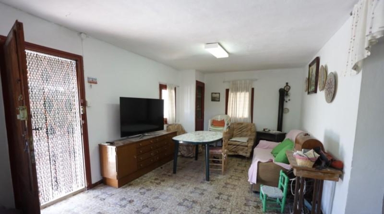Valencia - Villamarchante - 1204m2