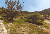 Chalet independiente con terreno en venta en la España, Ulldecona, ref: TR411293 foto