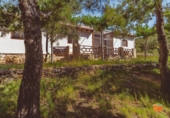 Chalet independiente con terreno en venta en la España, Ulldecona, ref: TR411293 foto
