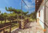 Chalet independiente con terreno en venta en la España, Ulldecona, ref: TR411293 foto