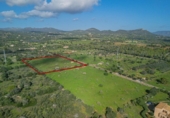 Land suitable for development for sale on España, Sant Llorenç des Cardassar, ref: TR180358 photo