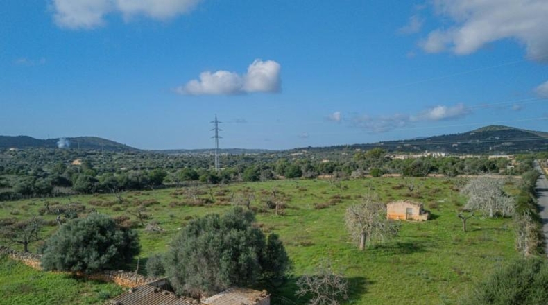 Islas Baleares - San Lorenzo del Cardessar - 14036m2