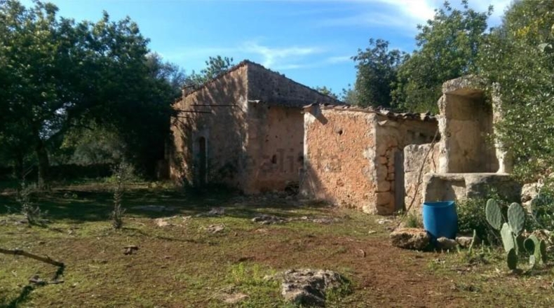 Illes Balears - Inca - 9000m2