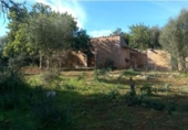 Chalet independiente con terreno en venta en la España, Inca, ref: TR411298 foto