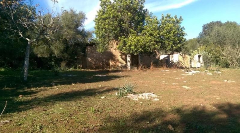 Illes Balears - Inca - 9000m2