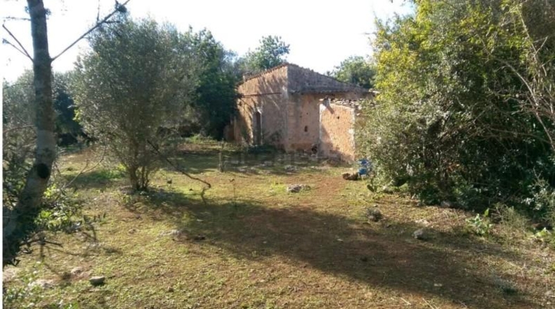 Illes Balears - Inca - 9000m2