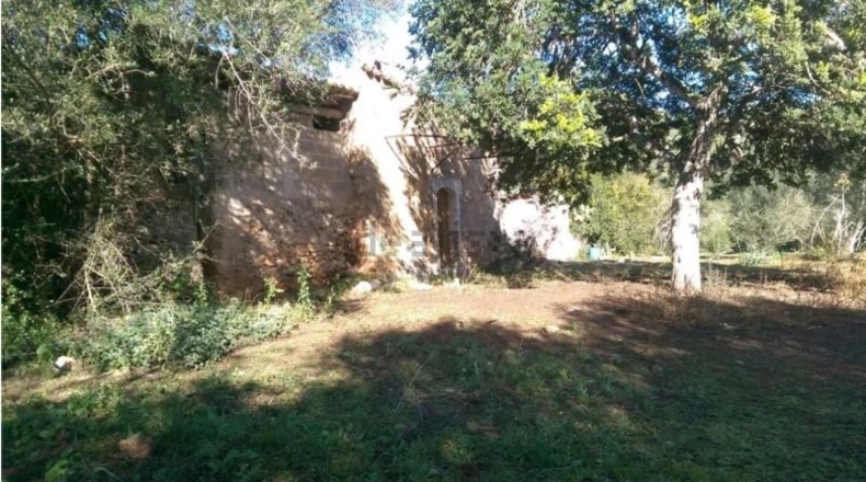 Illes Balears - Inca - 9000m2