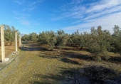 Участок с хранилищем на продажу в городе Santa Fe Фото