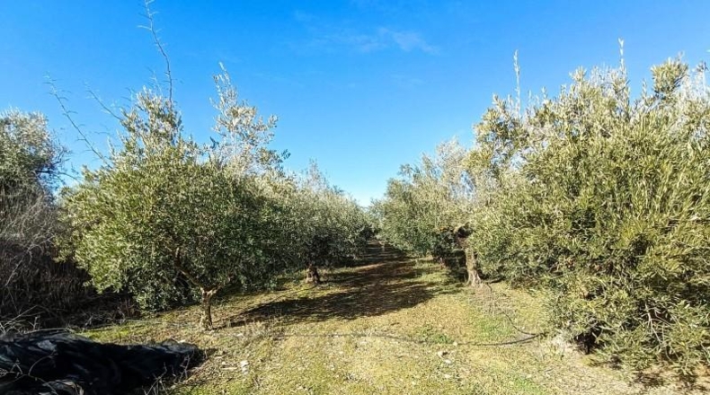 Granada - Santa Fe - 9266m2