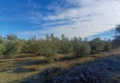 Участок с хранилищем на продажу в городе Santa Fe Фото