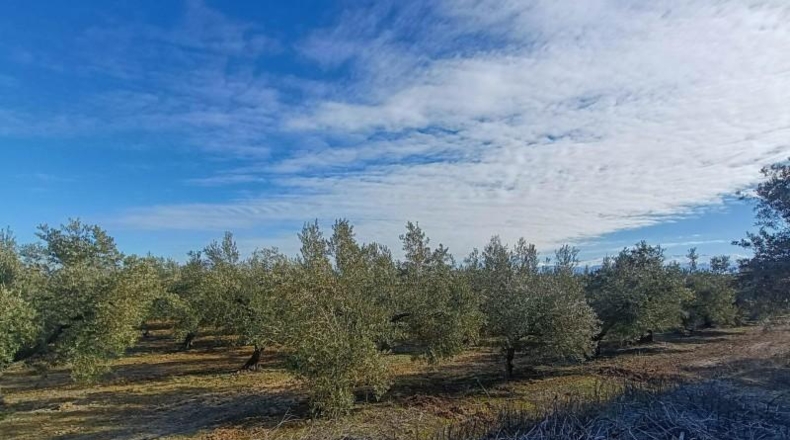 Granada - Santa Fe - 9266m2