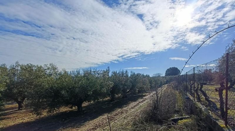 Granada - Santa Fe - 9266m2