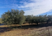Участок с хранилищем на продажу в городе Santa Fe Фото