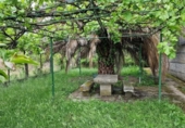 Chalet independiente con terreno en venta en la España, Ourense, ref: TR411299 foto