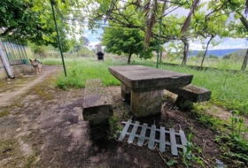 Foto 12