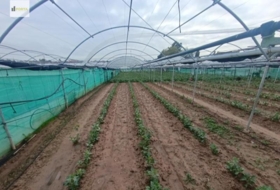 Sanlúcar de Barrameda 2400&nbsp;m² 