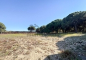 Terreny no urbanitzable en venda a la España, Sanlúcar de Barrameda, ref.: TR411316 foto