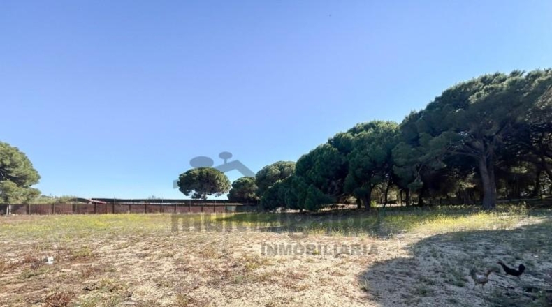 Cádiz - Sanlúcar de Barrameda - 3500m2