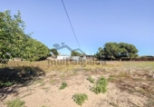 Terreny no urbanitzable en venda a la España, Sanlúcar de Barrameda, ref.: TR411316 foto