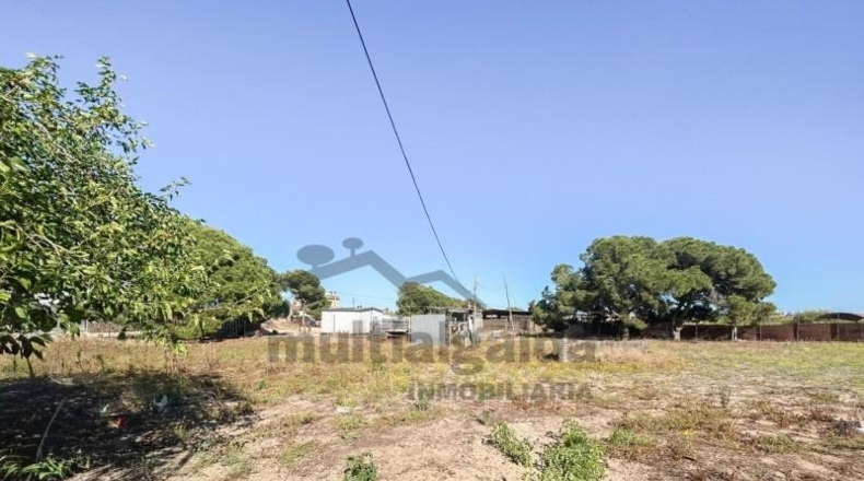 Cádiz - Sanlúcar de Barrameda - 3500m2