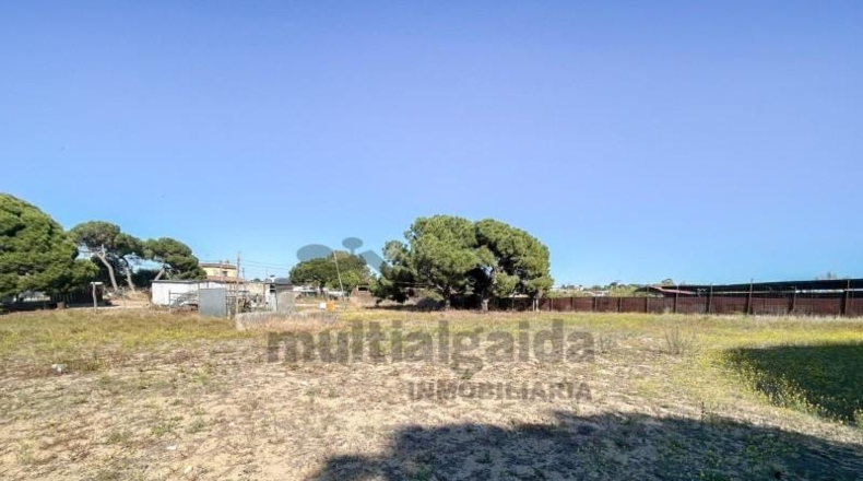 Cádiz - Sanlúcar de Barrameda - 3500m2