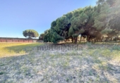 Terreny no urbanitzable en venda a la España, Sanlúcar de Barrameda, ref.: TR411316 foto