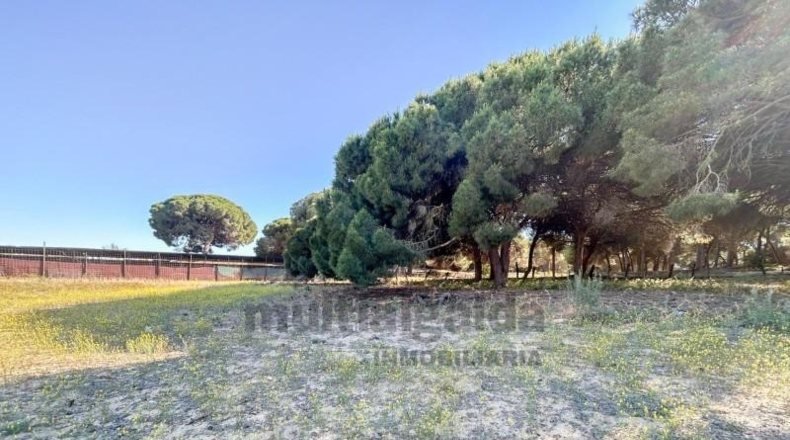 Cádiz - Sanlúcar de Barrameda - 3500m2