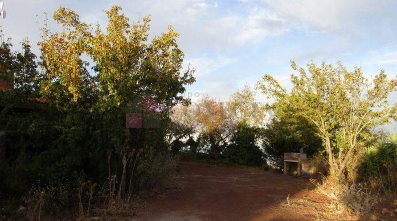 Las Palmas - Telde - 204m2