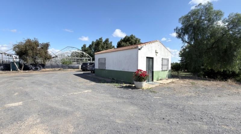 Huelva - Huelva - 20583m2