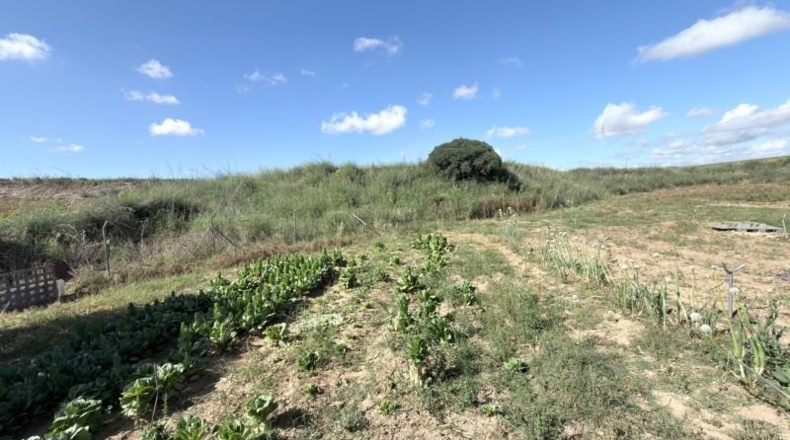 Huelva - Huelva - 20583m2