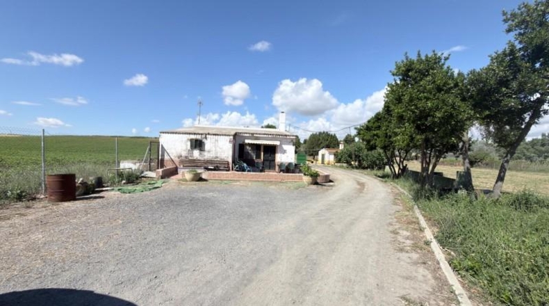 Huelva - Huelva - 20583m2