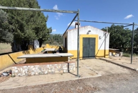 Foto 12