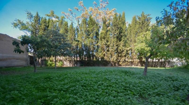 Granada - Los Llanos - 383m2