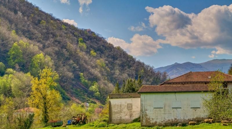 Navarre - Pekotxeta - 615m2
