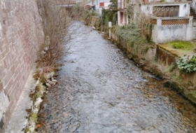 Foto 14