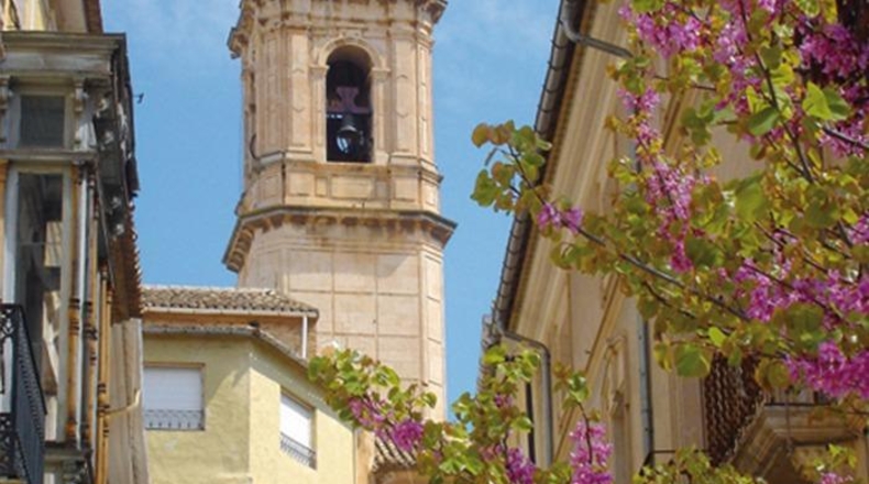 Alicante - Dolores - 319m2