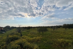 Llucmajor 15000&nbsp;m²