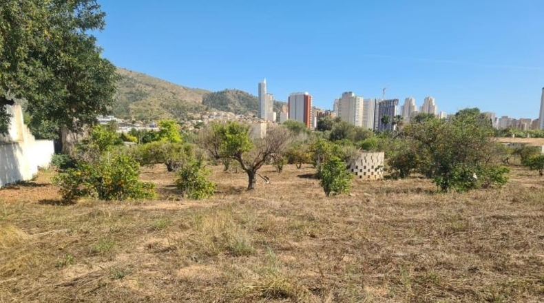 Alicante - Benidorm - 4000m2