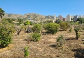 Country house with land for sale on España, Benidorm, ref: TR411347 photo