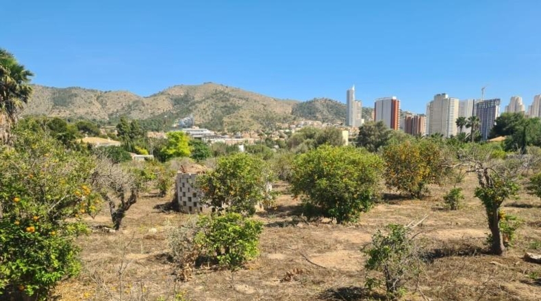 Alicante - Benidorm - 4000m2