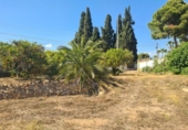 Country house with land for sale on España, Benidorm, ref: TR411347 photo
