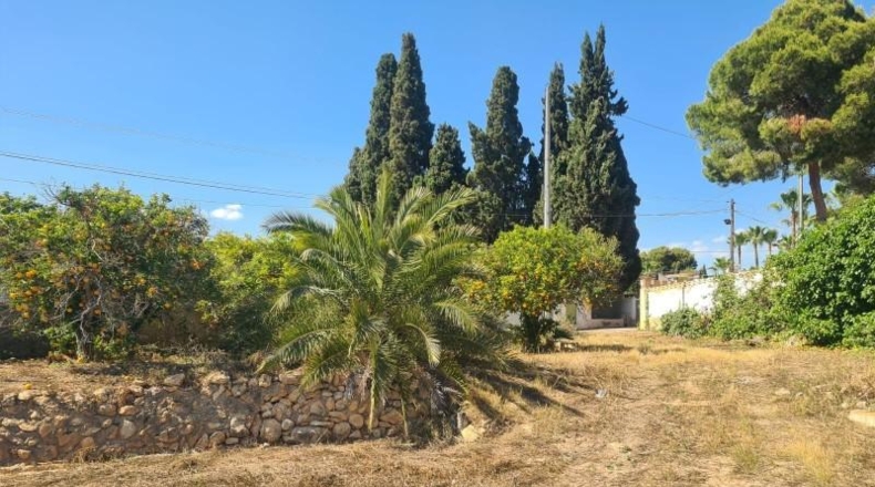 Alicante - Benidorm - 4000m2