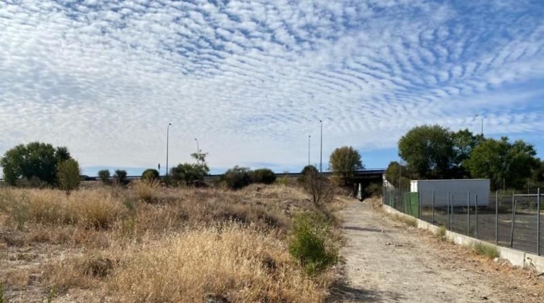 Comunidad de Madrid - Madrid - 1000m2