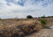 Sòl urbà en venda a la España, Rivas-Vaciamadrid, ref.: TR173775 foto