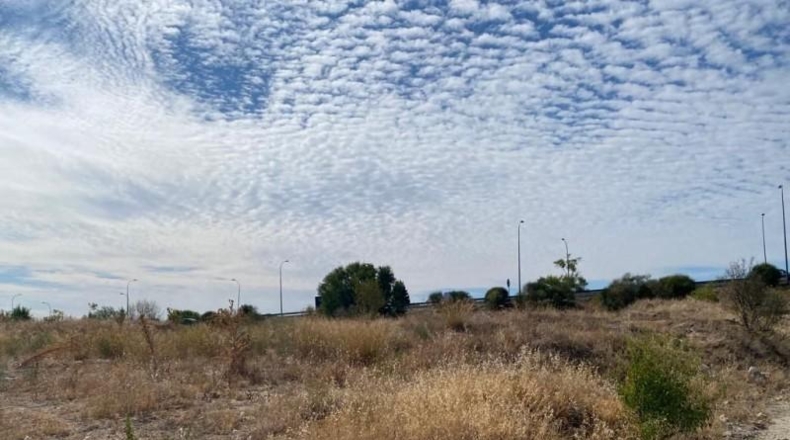 Comunidad de Madrid - Madrid - 1000m2