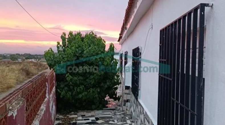 Valencia - Villamarchante - 959m2